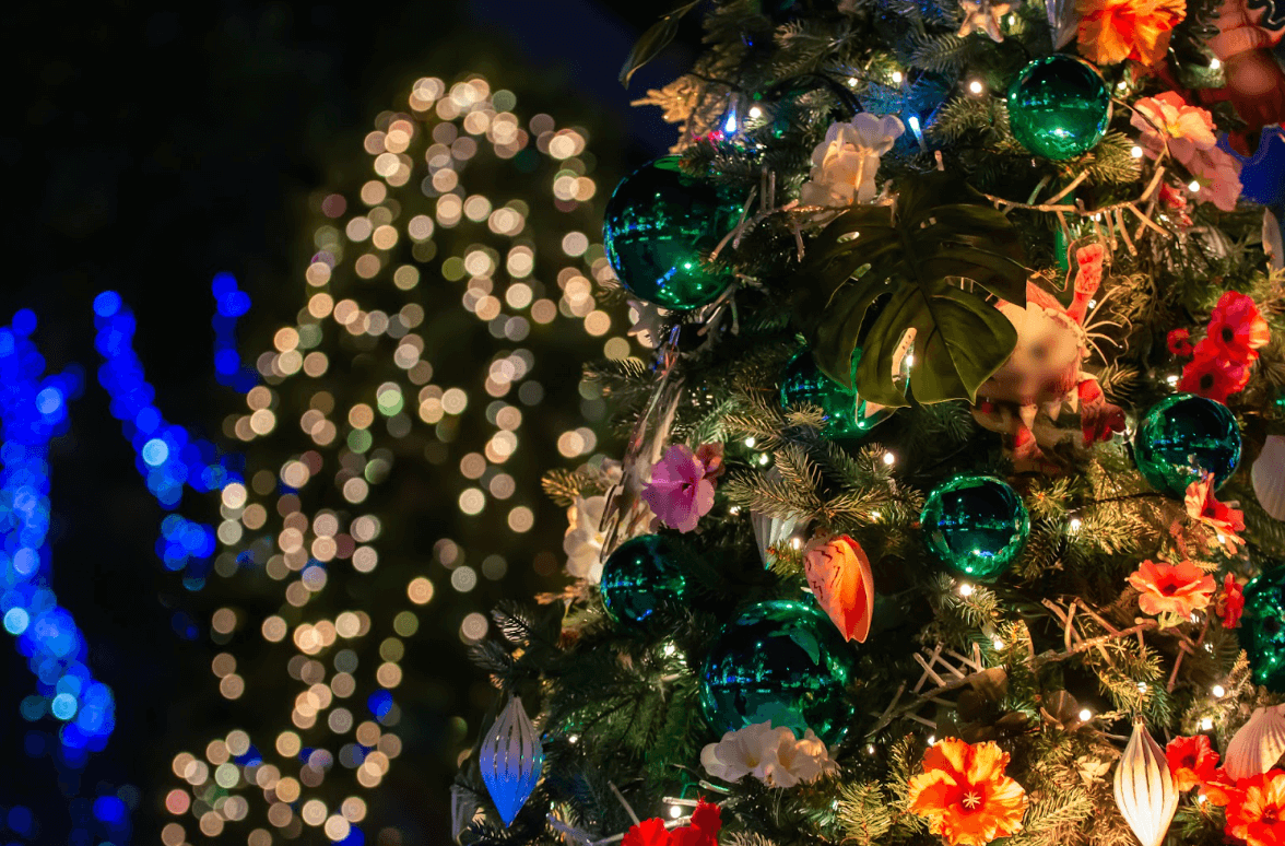 ゆっくり過ごせるイルミネーション